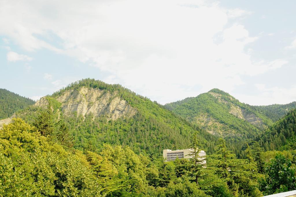 Alma-Ata Hotel Borjomi Exterior foto